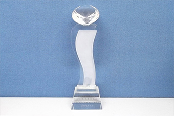 2009年度最具潜力公司奖杯